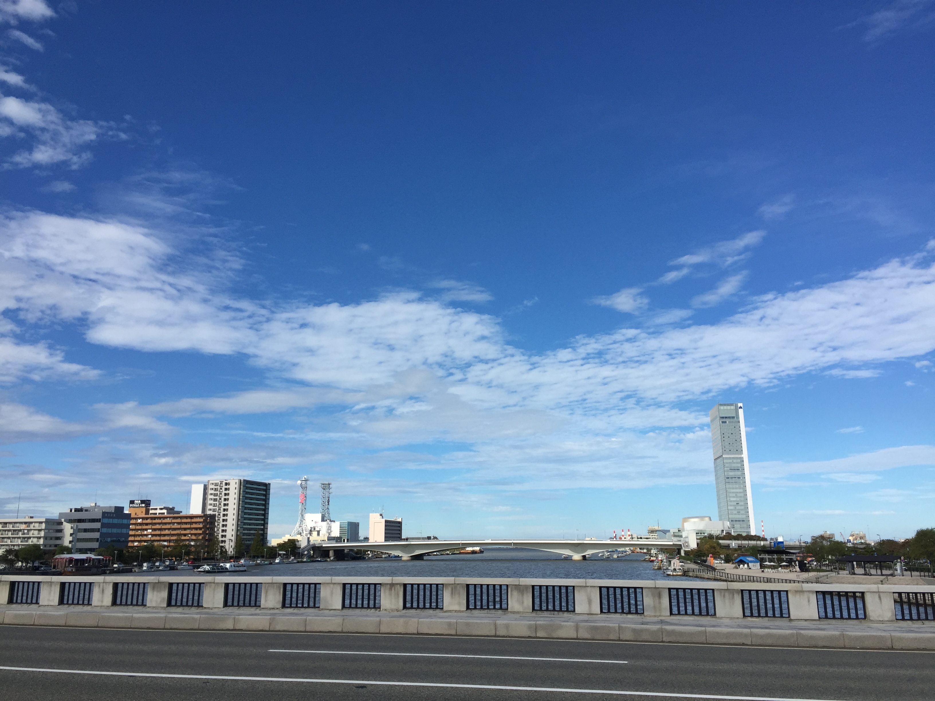 新潟市内を散歩してきました 新潟駅 万代シティ 古町エリア トキさかの森