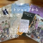 エイトビットショップからいろいろ届いた！【TVアニメ星合の空：グッズの紹介】