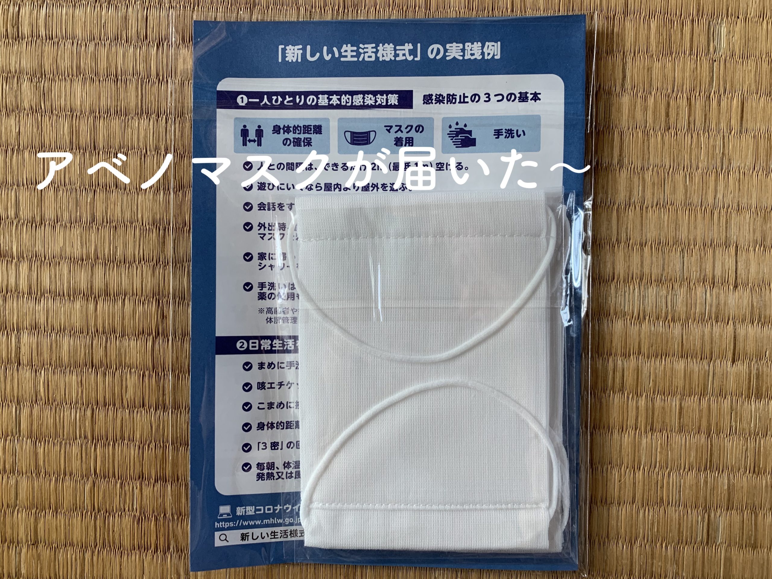 【かとうの日記】「アベノマスク」が届いた〜