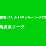 N1は10チームを、5チーム2グループに分けての開催へ【高円宮杯JFA U-18サッカーリーグ 新潟県リーグ】