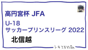 4/24更新【2種】高円宮杯JFA U-18サッカーリーグ2022 新潟4部A(N4Aリーグ)